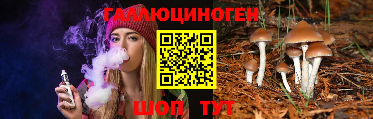 Псилоцибиновые грибы GOLDEN TEACHER Красноуфимск