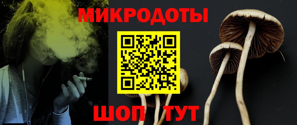 Красноуфимск  Псилоцибиновые грибы мухоморы  Вход с VPN 